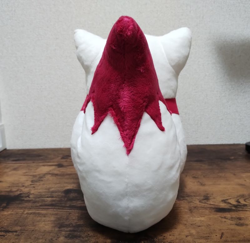 後ろから見た画像