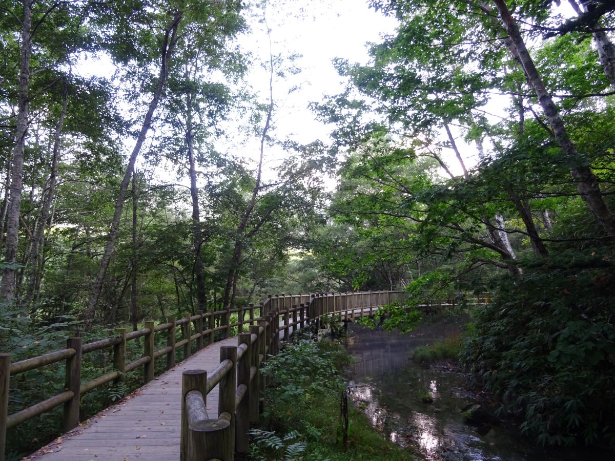 上高地の大正池付近