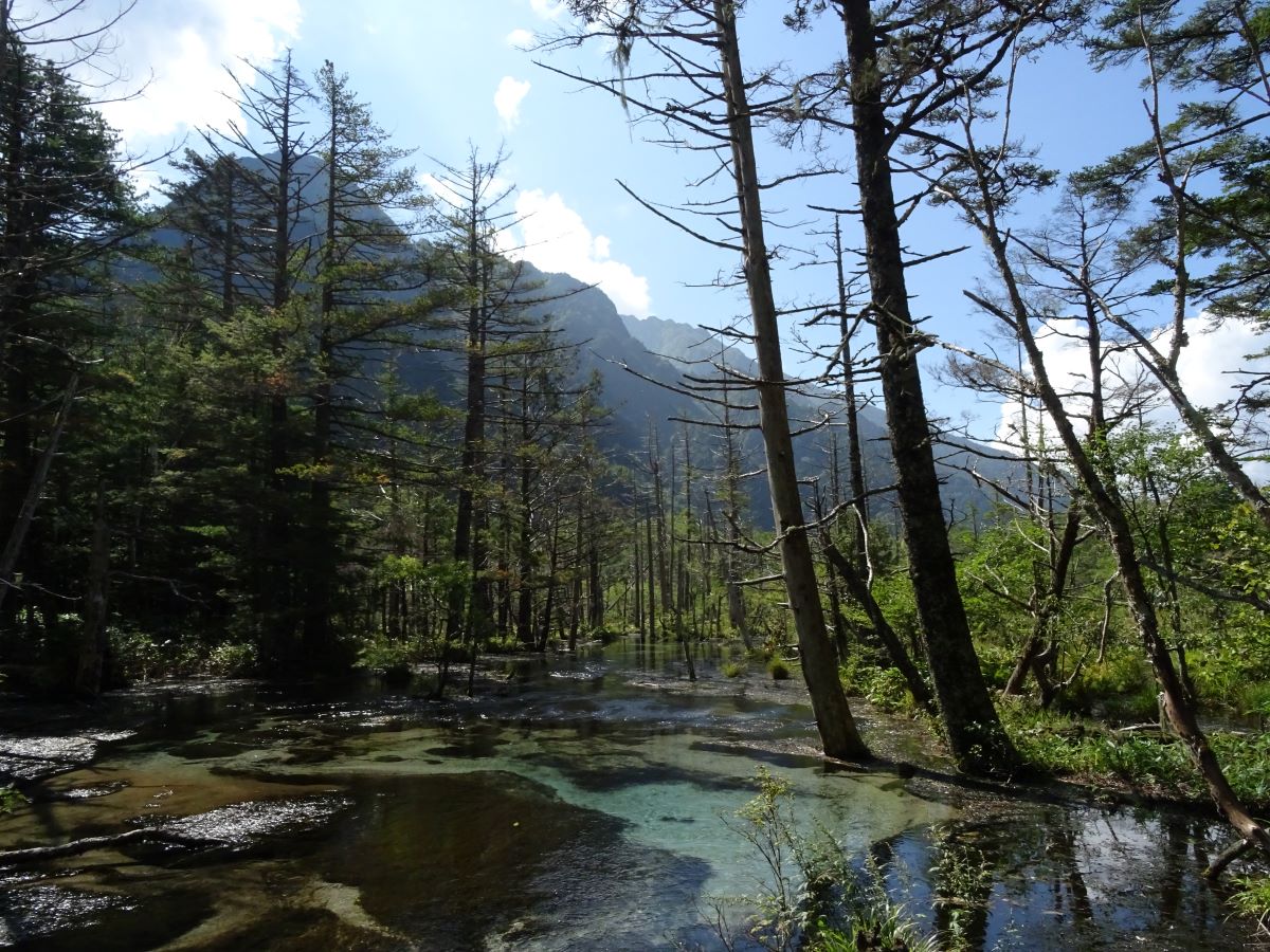 水辺その2