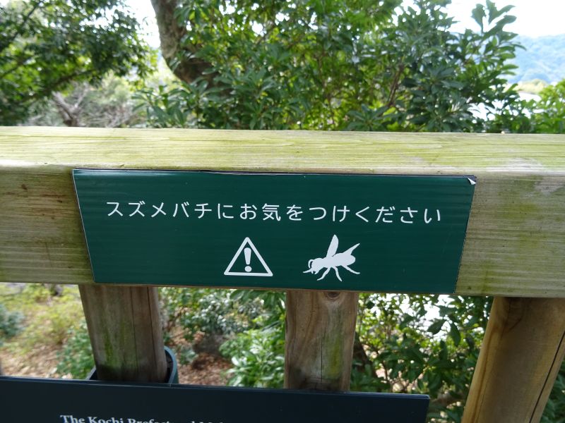 スズメバチ注意