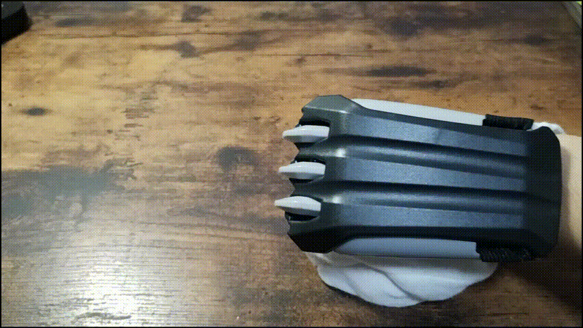 飛び出す鉤爪